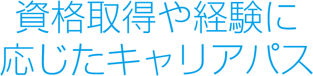 資格取得や経験に応じたキャリアパス